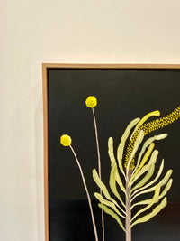 Billy Buttons and Banksia #3