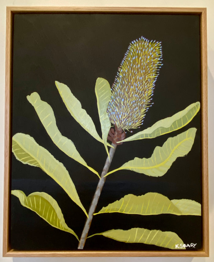 Swamp Banksia