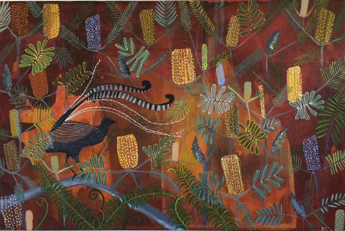 Lyrebird Dreaming