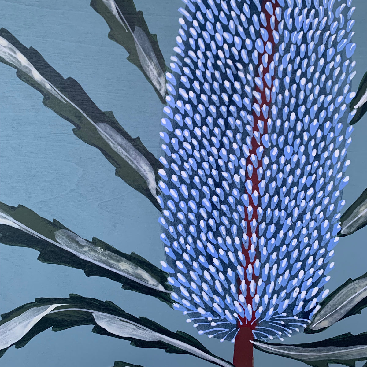 Blue Banksia Portrait