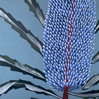 Blue Banksia Portrait